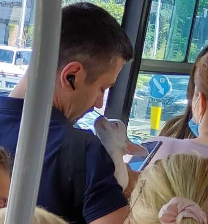 We Can Feel the Love