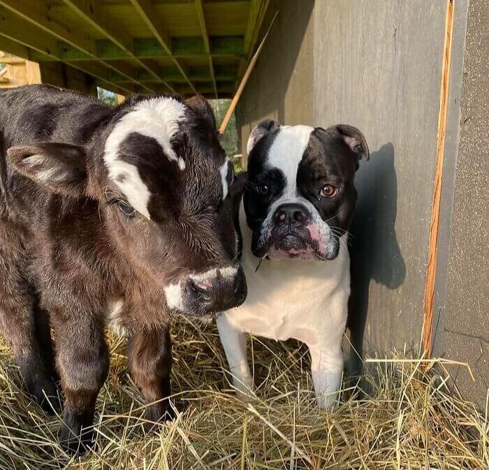 They're the Same but Different