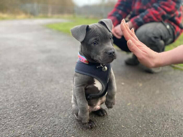 Stop in the Name of Love