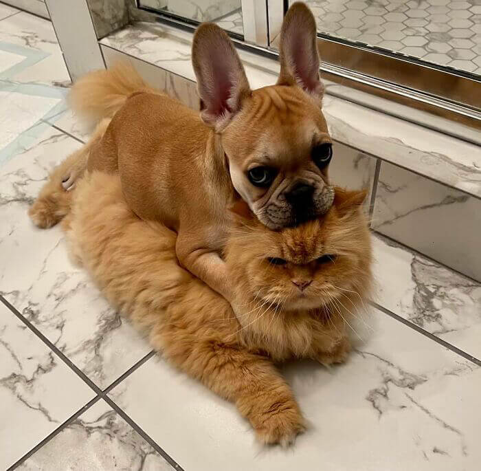 Best Friends Forever