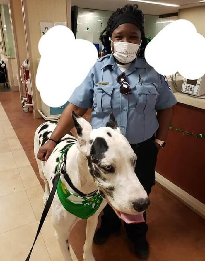 The Doctor Will See You Now