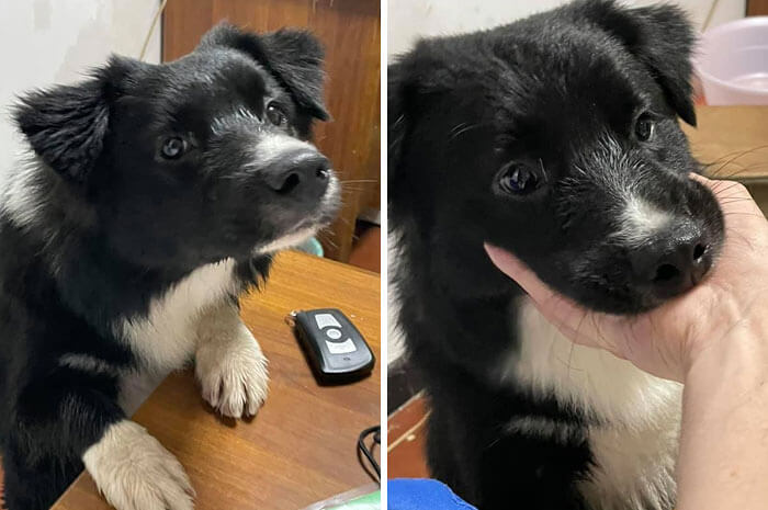 Once Lost and Now Found