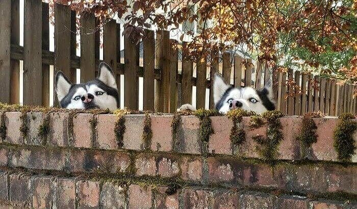 Peek-A-Boo I See You