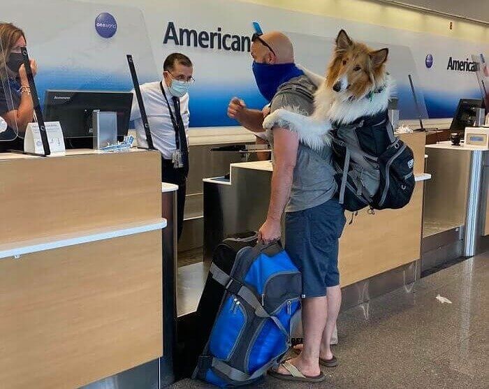 A Very Special Carry-On Luggage