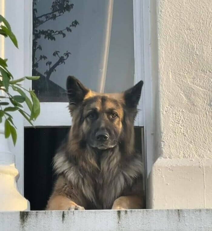 That Neighbor Who's Always Watching