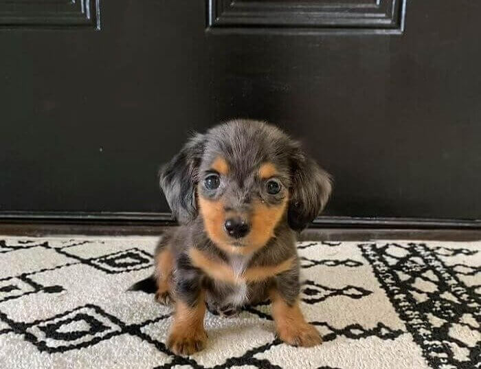 When Names Are Deceiving