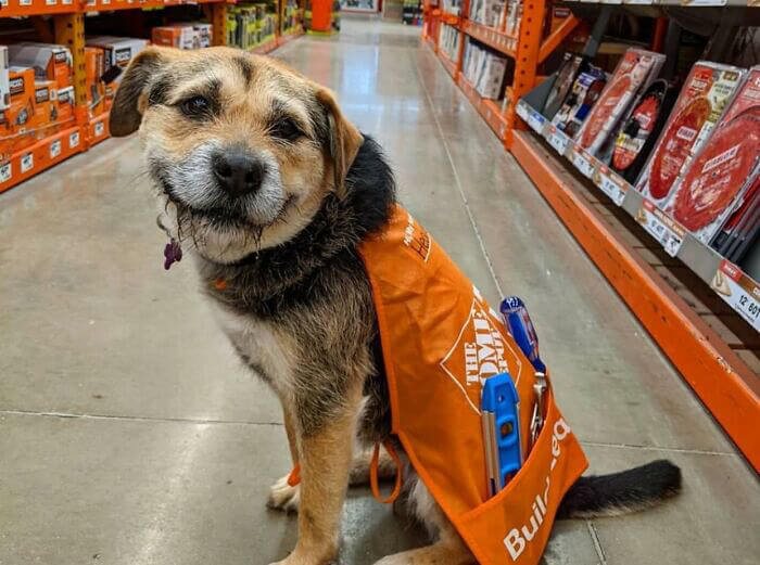 Employee of the Month