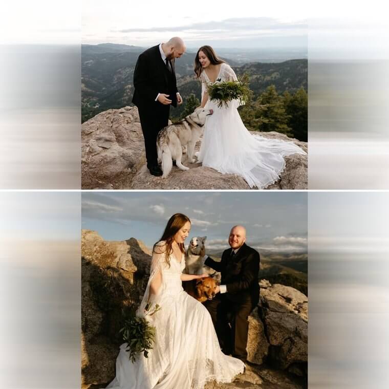 Best Wedding Crashers Ever