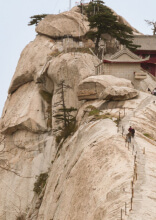 Houses That Would Require Nerves of Steel to Live in