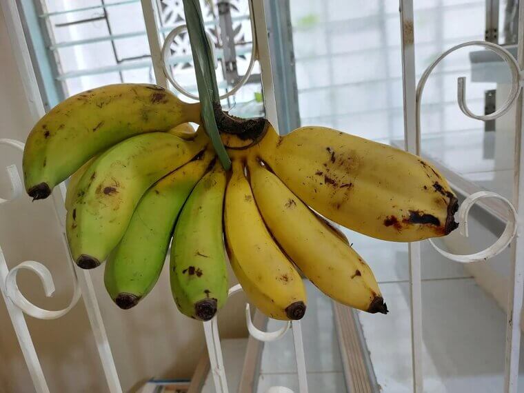 Pointless Non-GMO Labels