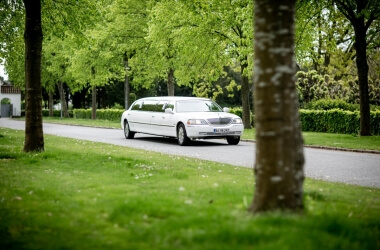 eBay Limousines and Trucks With Their Current Selling Prices