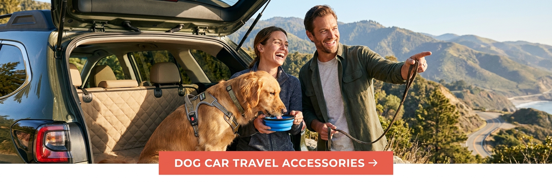 Pet Road Trip Gear That Keeps Dogs Calm and Cars Clean