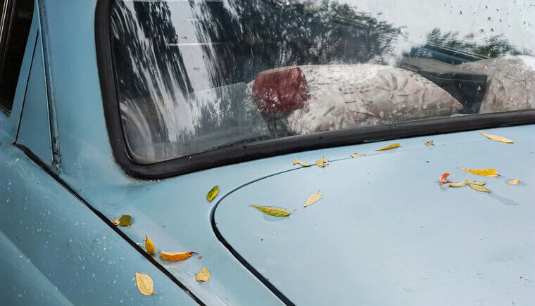 Understand Your Car’s Depreciation