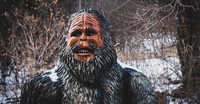 Don’t Harass Bigfoot in Washington