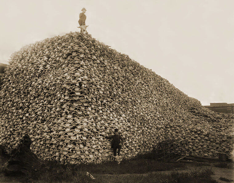 There’s a Story Behind This Pile of Skulls