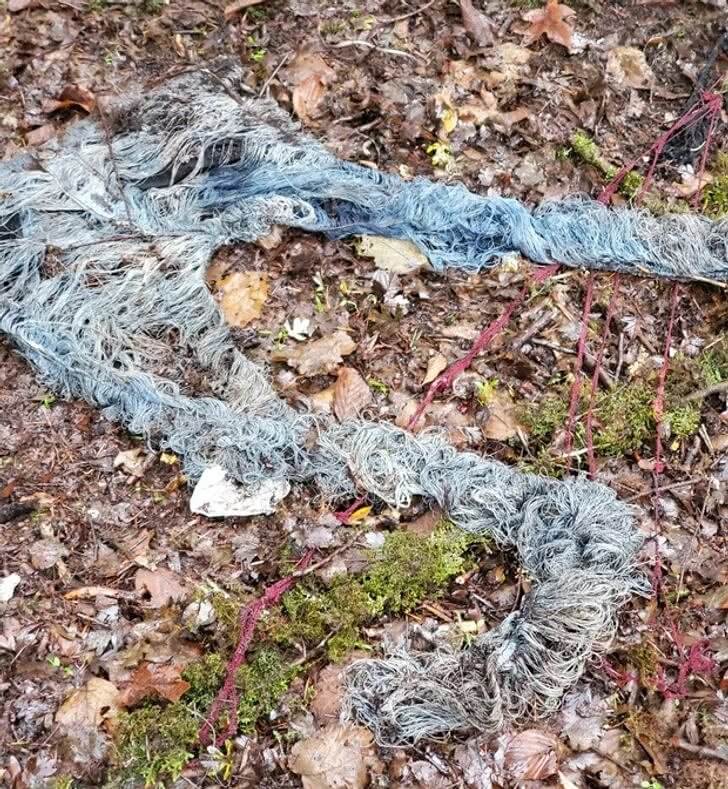The Remains of a Pair of Jeans