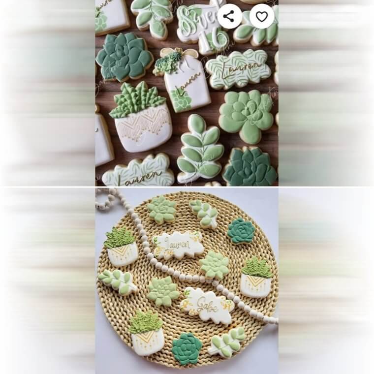 Der Plätzchen-Jackpot