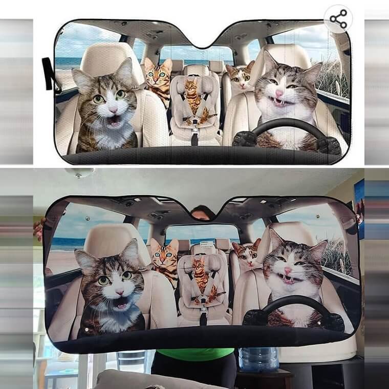 Die Katze ist aus dem Sack