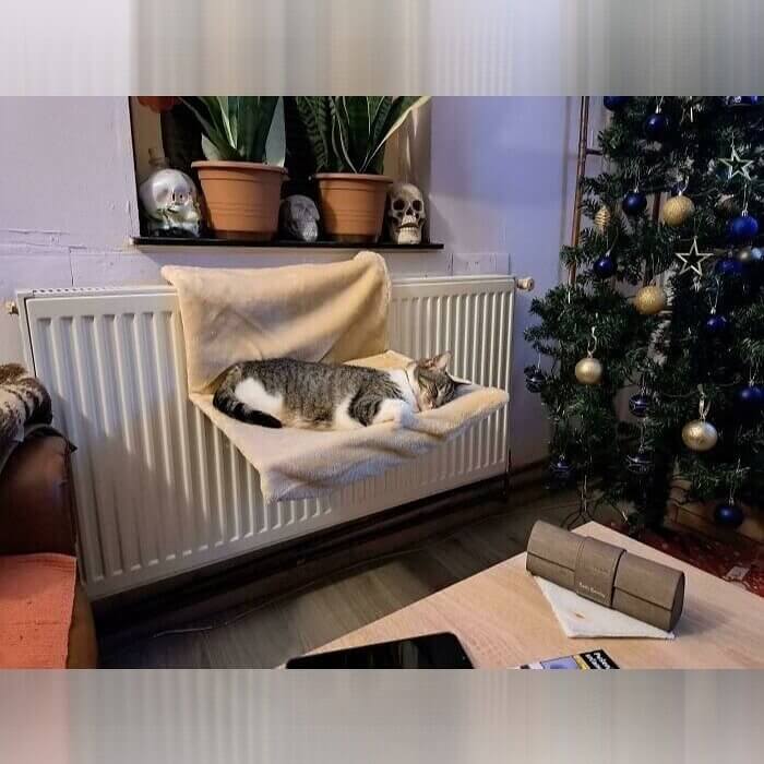 Einfach nur rumhängen