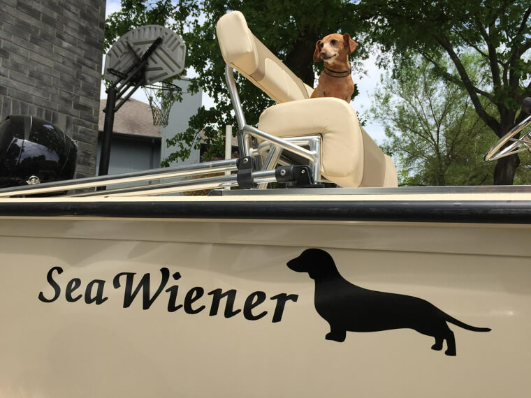 Does the Dog Come With the Boat?