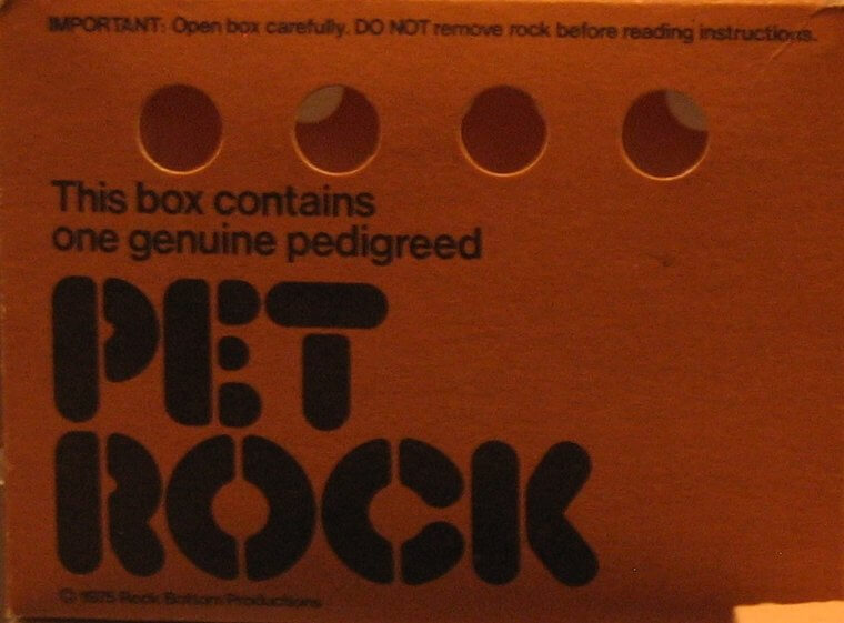 Pet Rocks Garnered $6 Million In Sales