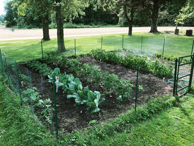 Growing Your Own Food