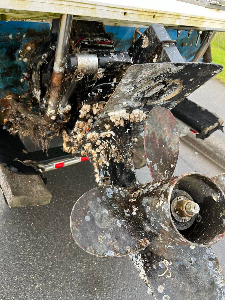 Remove Barnacles With WD-40