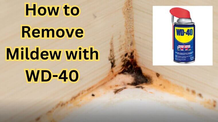 Removes Mildew Easily