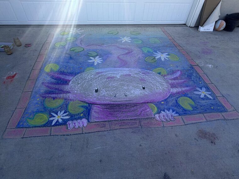 Waterproof Outdoor Chalk