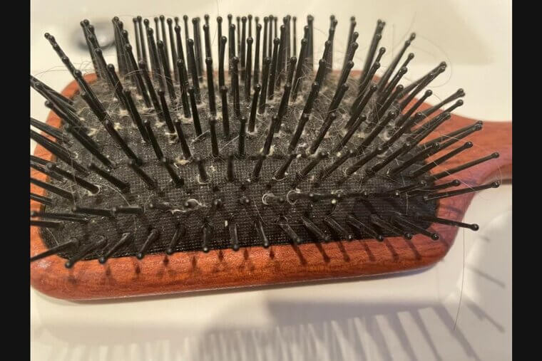 Clean a Hairbrush With It