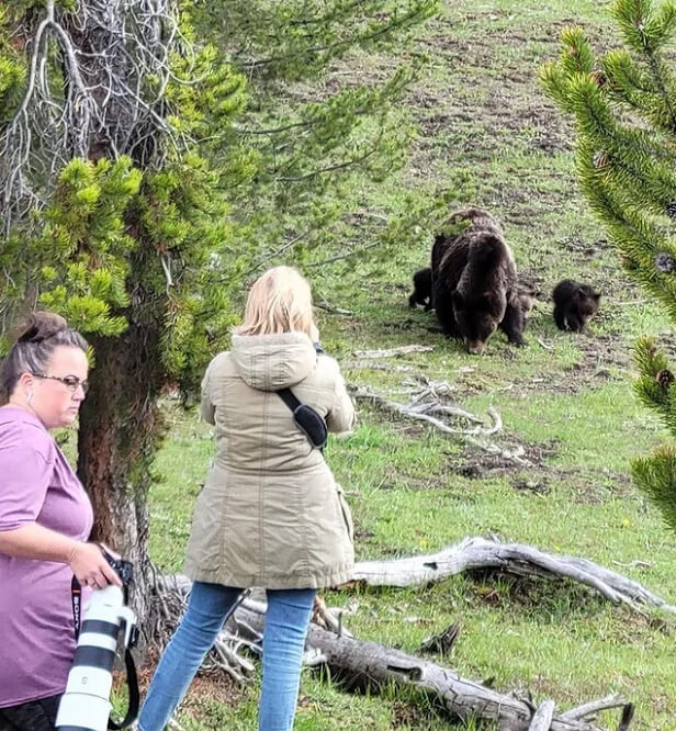 touronsofyellowstone via Instagram