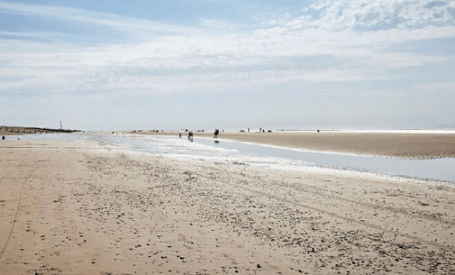 Comically Petty Travel Reviews People Actually Left Online