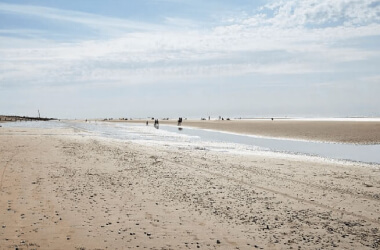 Comically Petty Travel Reviews People Actually Left Online