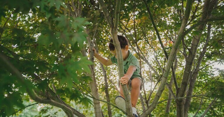 Climbing Trees