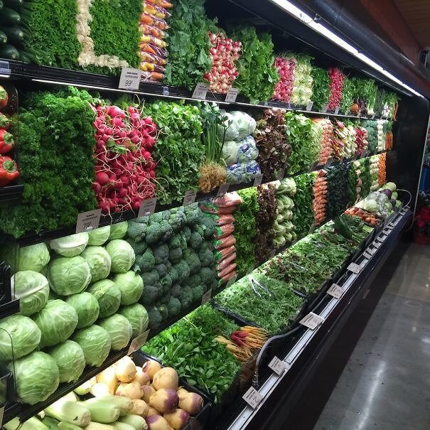 A Vertical Garden
