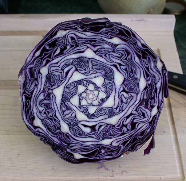 Mother Nature's Geometry