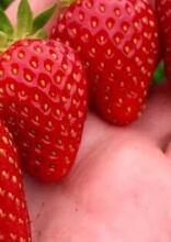 Food Photos That Are Even More Satisfying Than Delicious