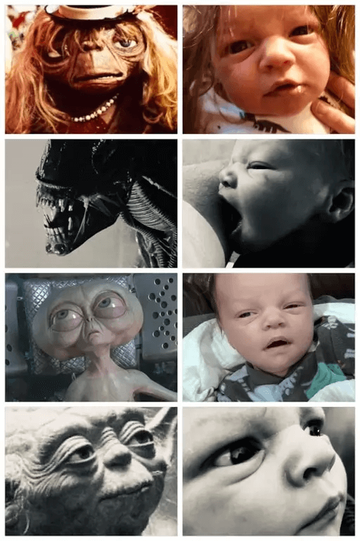 His Wife Vetoed The Birth Announcement Design