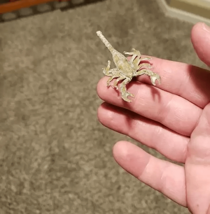 The Prank Went Too Far