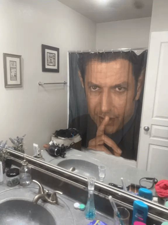A New Shower Curtain For The Win