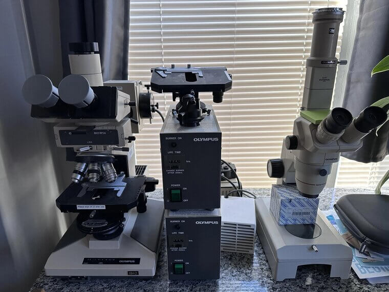 Suspicious Science Vibes