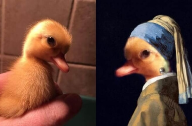 These Photoshop Masters Know How To Edit Images With A Funny Twist