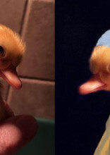 These Photoshop Masters Know How To Edit Images With A Funny Twist