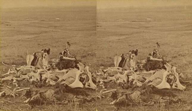 A Morbid Photo of The Battle Of Little Bighorn