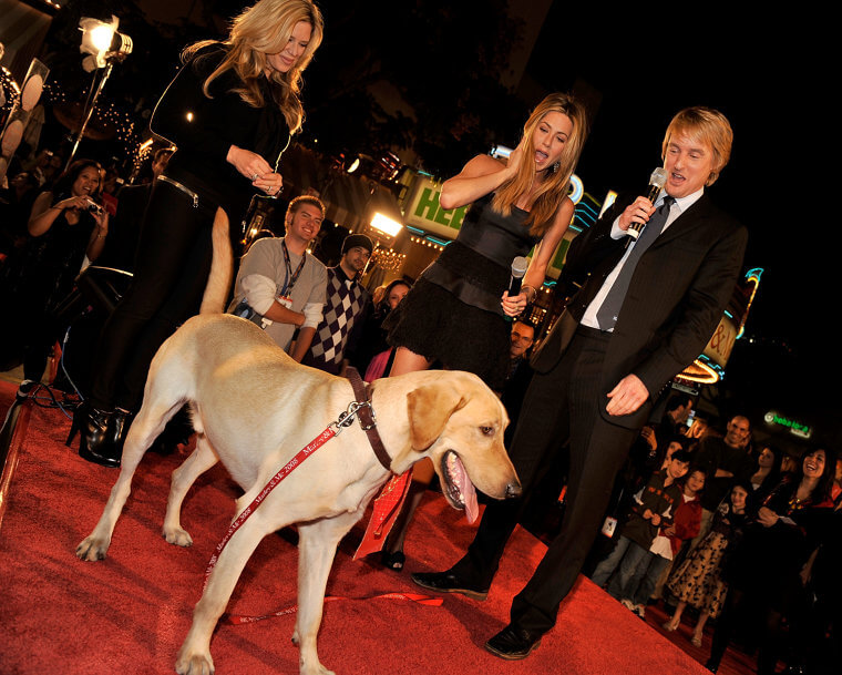 Marley From Marley & Me