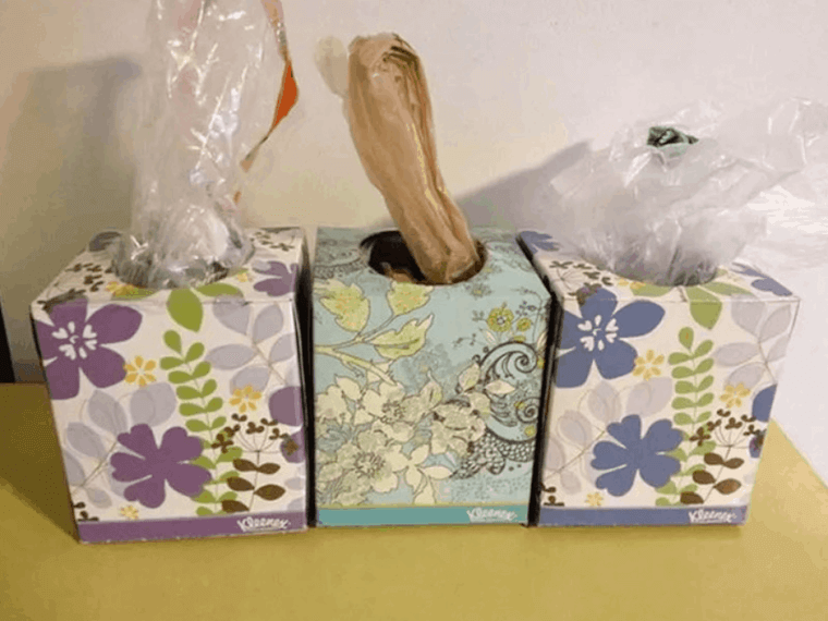 Tissue Boxes Can Be Recycled For Something Just As Good
