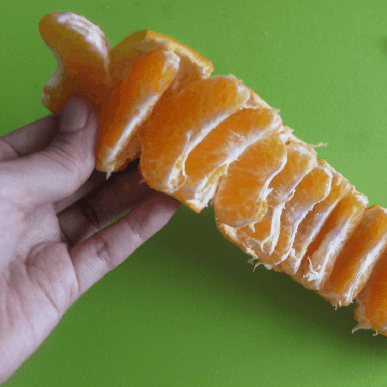A Very Hands-Free Orange Trick
