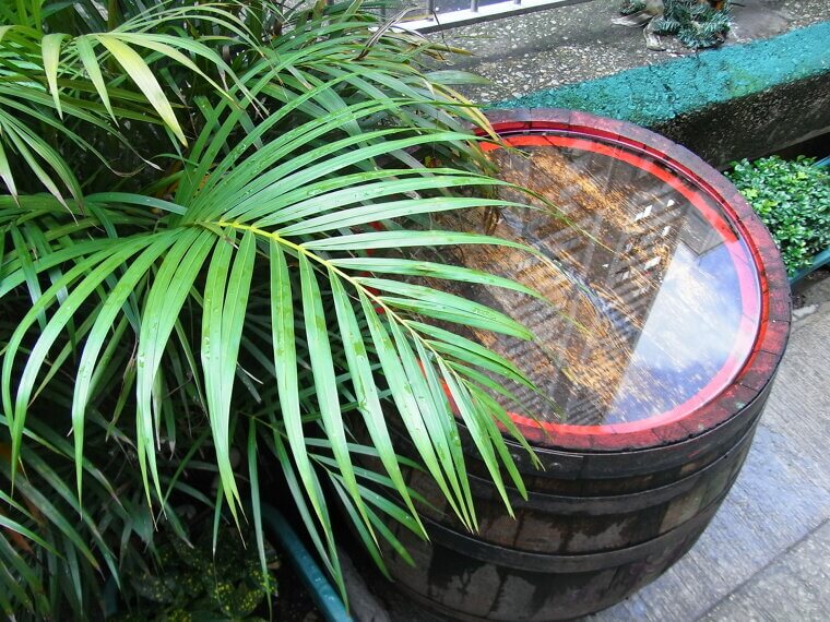 Rain Barrel