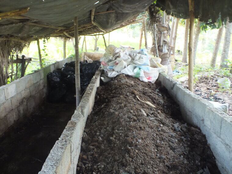 Organic Fertilizer