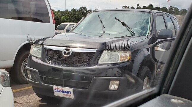 Headlight Eyelashes